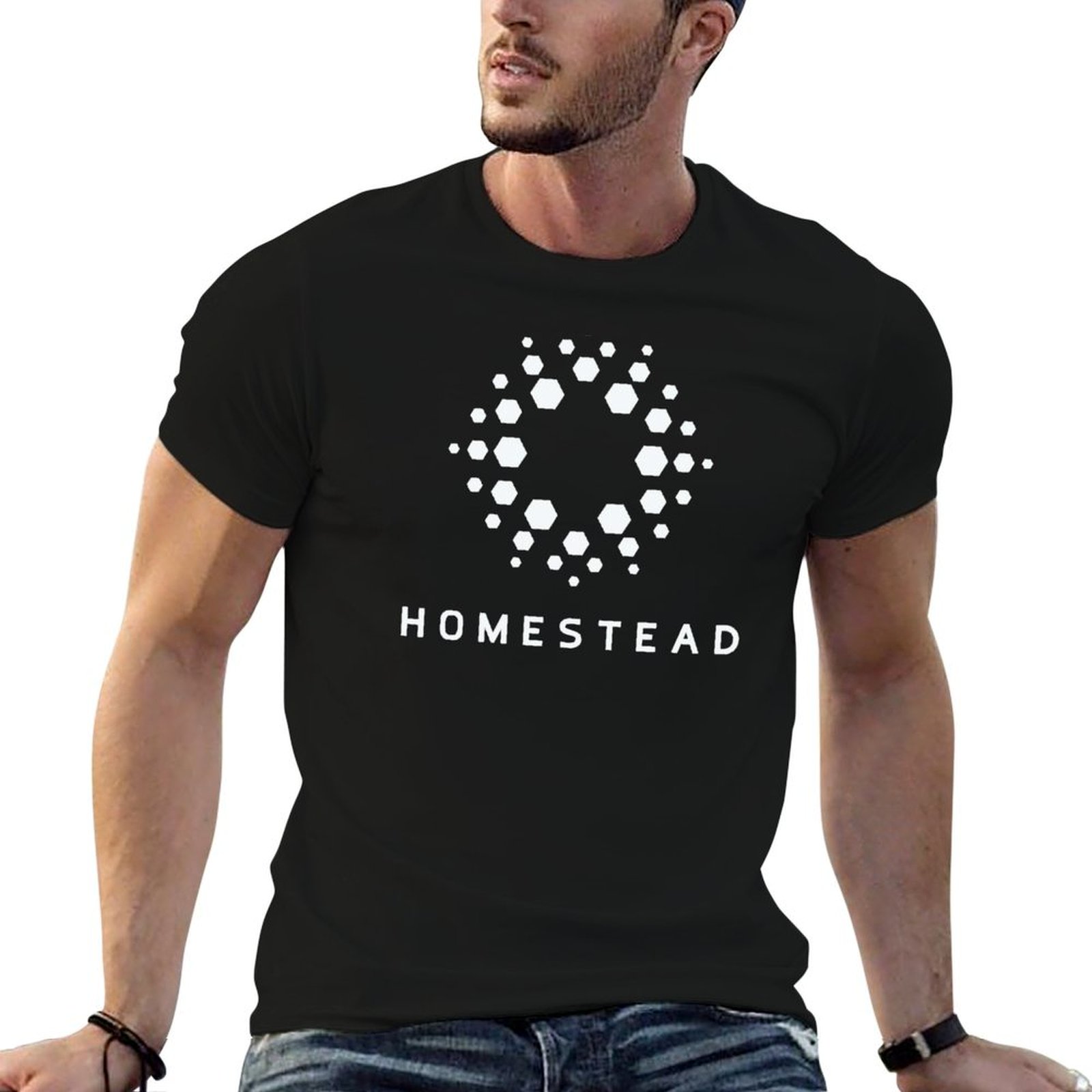 Homestead - Passengers - Light - Homestead Lighting & Decor Oconomowoc recension och pris