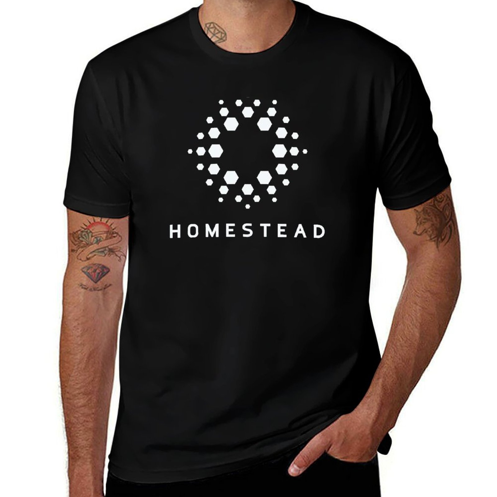Homestead - Passengers - Light - Homestead Lighting & Decor Oconomowoc recension och pris